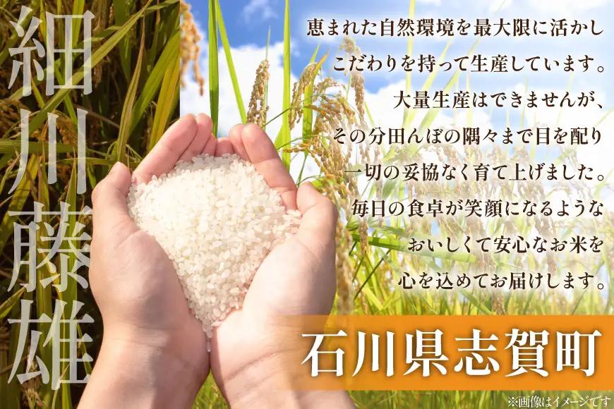 米 コシヒカリ 令和7年産 5kg