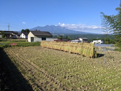 【令和7年度新米】【令和7年度米】白州米 亀の尾『白米』3kg 農薬不使用 化学肥料不使用 天日干し 幻 希少 低タンパク 山梨県 北杜市