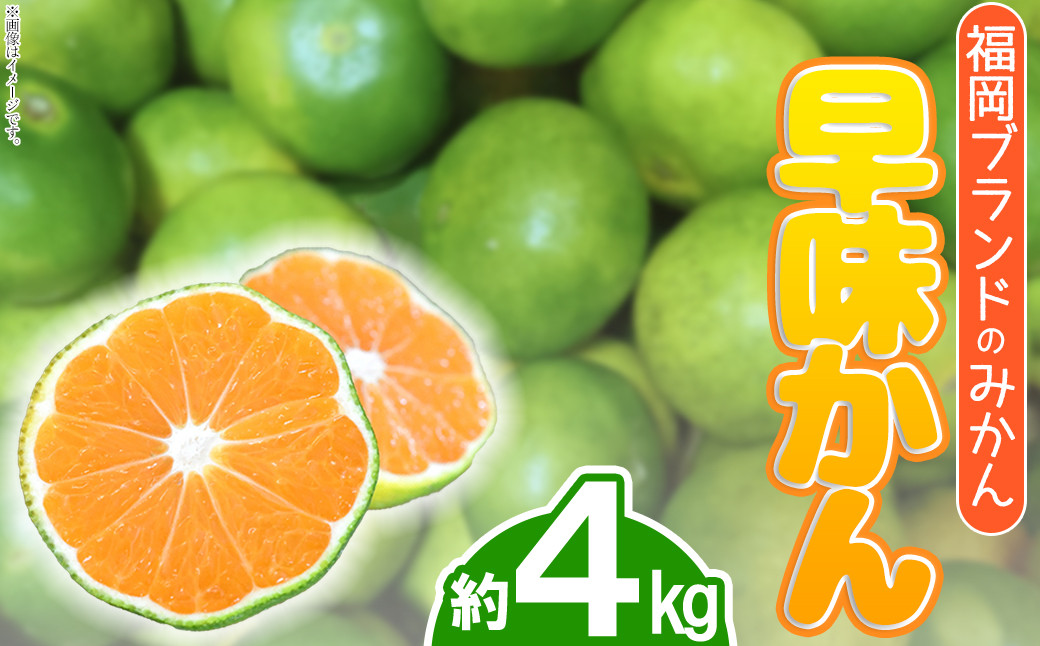 
            3V17 福岡ブランドみかん・早味かん約4kg
          