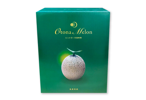 A-16 アールスメロン　秀品　大玉1玉【秋作】