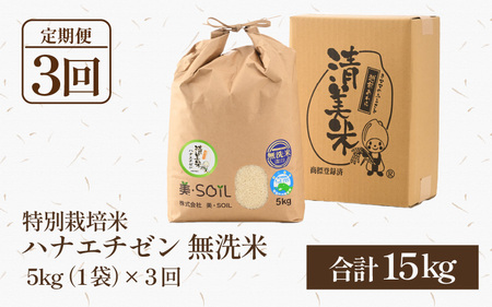 【令和5年産】《定期便》5kg×3回 15kg 特別栽培米 ハナエチゼン 無洗米 低農薬 《こだわり極上無洗米》 / 福井県 あわら 北陸 米 お米 人気 