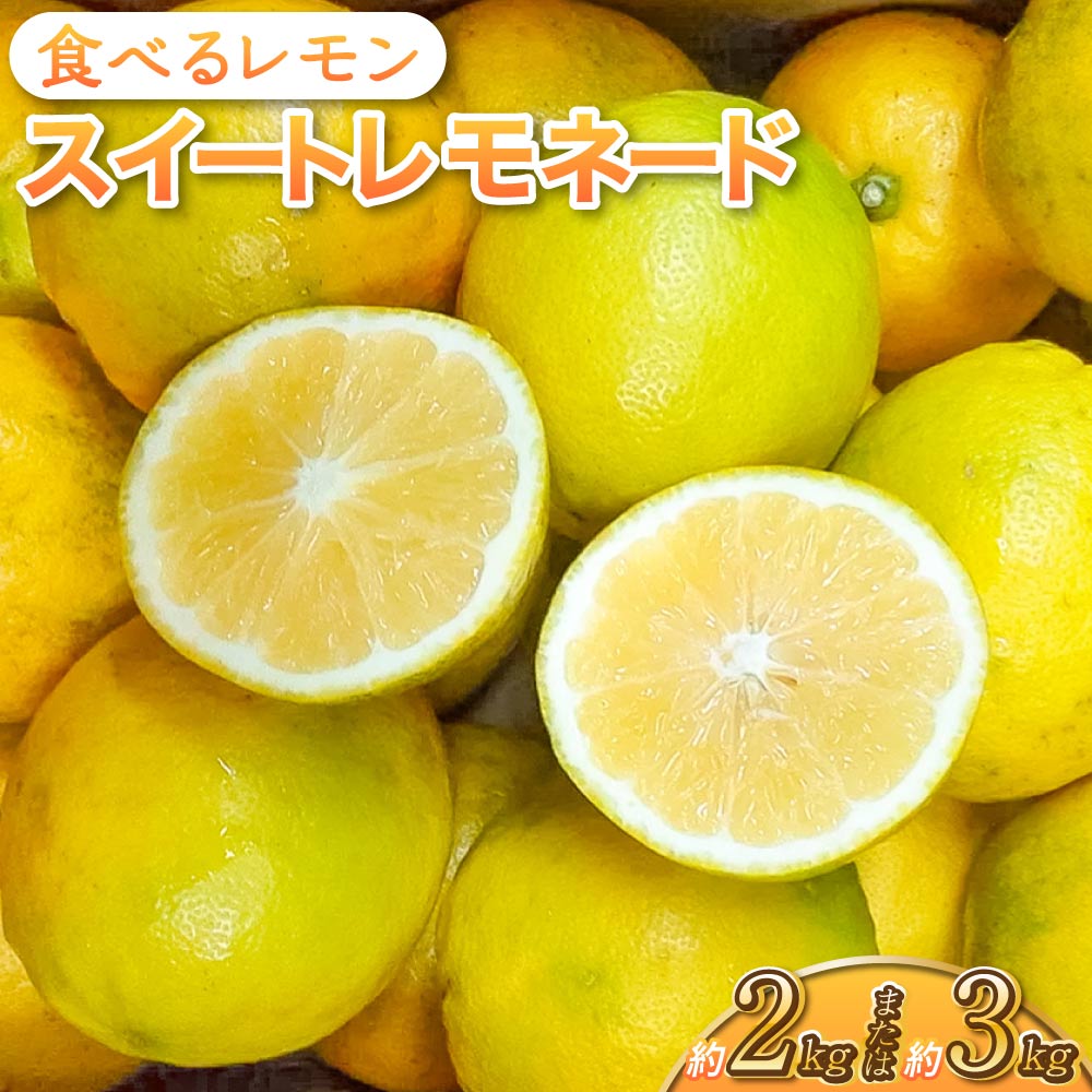【ふるさと納税】 レモン 食べるレモン スイートレモネード 選べる内容量 約2kg もしくは 約3kg 吉田レモニー 【2024年12月上旬〜2025年6月上旬発送】