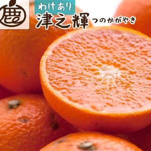 ［先行予約］家庭用 津之輝2.5kg+250g（傷み補償分）［訳あり］［つのかがやき］［せとかに似た柑橘］［IKE58］
