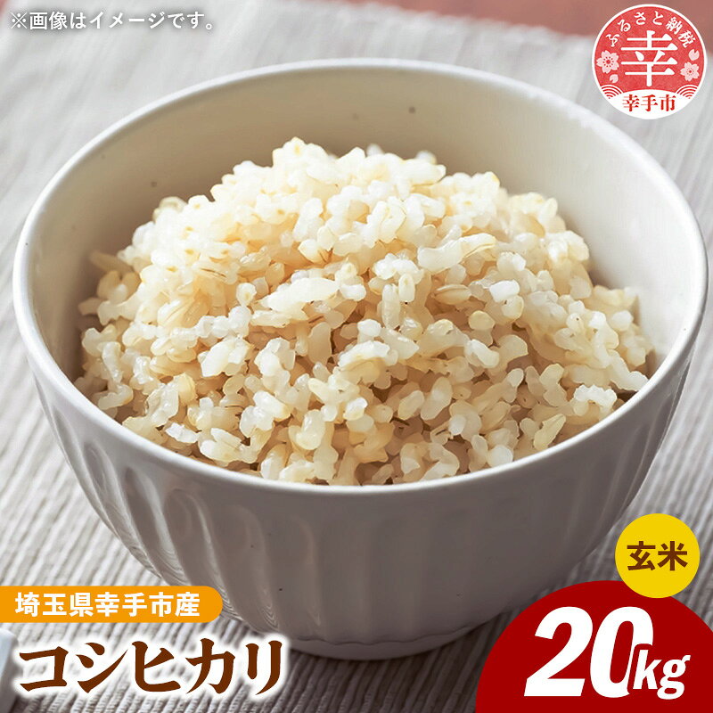 【ふるさと納税】令和8年産 幸手市産 コシヒカリ 玄米20kg 色彩選別済 Brown Rice - お米 米 こしひかり 玄米 20kg 埼玉県 幸手市