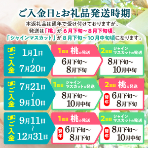 【発送月固定定期便】【2024年先行受付】山梨県産人気果物2種 桃・シャインマスカット定期便 全2回【配送不可地域：離島】【4005775】