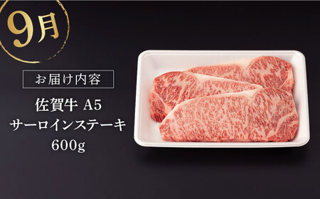 【先行予約】【3回定期便】佐賀牛 夏の定期便極コース NAB105 牛肉 定期便