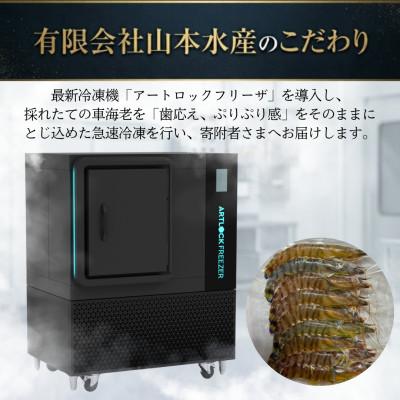 ふるさと納税 上天草市 【先行受付】生食可!急速冷凍 大きな車海老 約250g(5尾〜7尾)【山本水産】 |  | 01