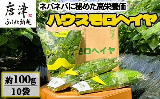 ハウスモロヘイヤ 100g×10袋 ネバネバ 高栄養価（βカロテン/各種ビタミン/カルシウム/カリウム/葉酸など) 定番おひたし 和洋中の各種スープ 色んなお料理のソースにも 野菜 ねばねば