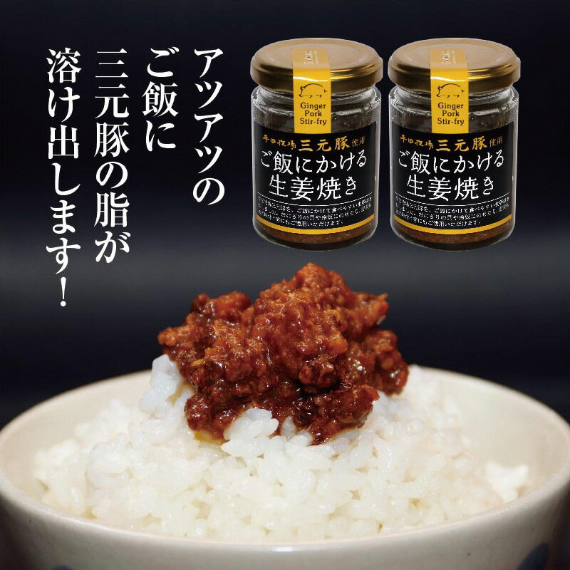 【ふるさと納税】平田牧場三元豚使用 ご飯にかける生姜焼き 80g×2個 ※着日指定不可