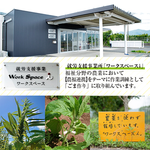 国産金ごま 農薬不使用栽培の「くしきの金ごま」（いりゴマ35g×5袋）希少な金ゴマをご家庭で【数量限定】【A-1193H】