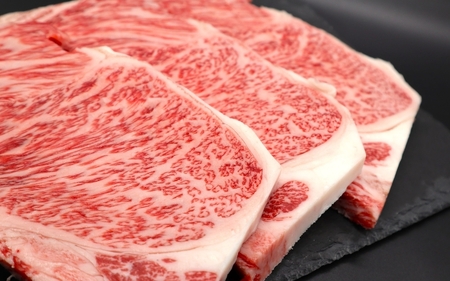 伊賀牛 【肉の横綱】 サーロインステーキ 150g×3枚 伊賀牛 【ymmt0006】