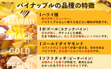 【数量限定！】 国産 パイナップル 約3ｋg (3～5玉) ～なか農園おまかせセット～ ｜鹿児島県 南大隅 産地直送 旬 パイン ハワイ種 ピーチパイン ゴールドダイヤモンド ボゴール なか農園 フル
