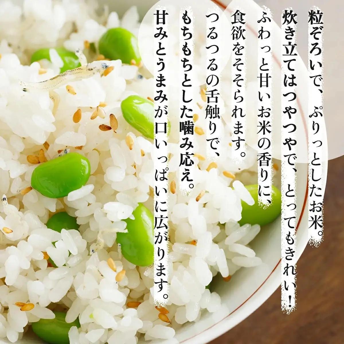 ＜令和8年産＞お米 ゆめぴりか20kg｜『100%自家生産精米』善生さんの自慢の米 北海道 岩見沢市 精米 白米 新米【a104-107】【06129】