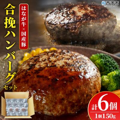 ふるさと納税 西予市 &lt;合挽ハンバーグセット 6個(1個150g)&gt; セット ハンバーグ はんばーぐ 合挽肉 肉 お肉