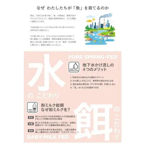 サーモン 朝倉市産 のとりサーモン 650g 魚 冷凍 ※配送不可:離島