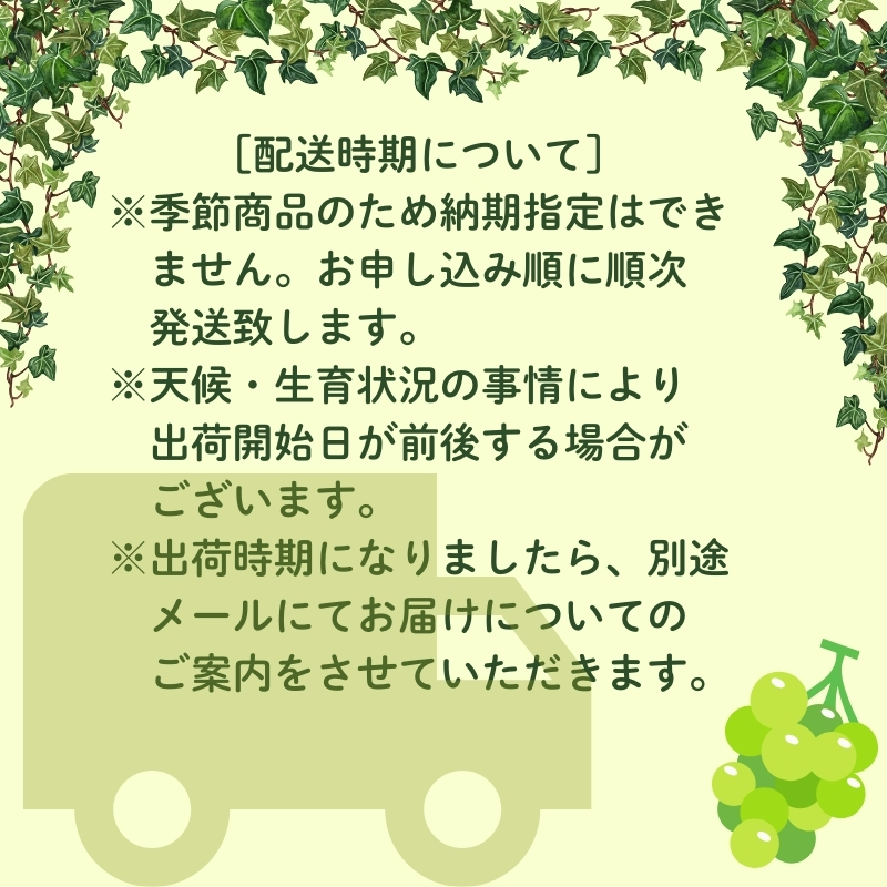 ハウス育ち シャインマスカット約600ｇ　1房化粧箱入り 果物類 フルーツ 果物 ぶどう 葡萄 約600g