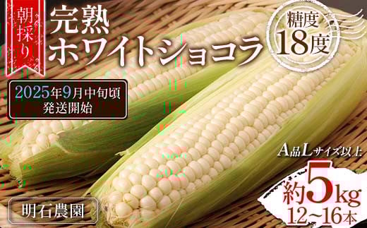 ＜朝採り＞ 完熟ホワイトショコラ 明石農園 糖度18度 約5kg とうもろこし 山形県産 A品 Lサイズ以上 《先行予約2025年度9月中旬頃発送開始》  とうきび トウキビ トウモロコシ コーン 野菜 食品 山形県 FSY-1296