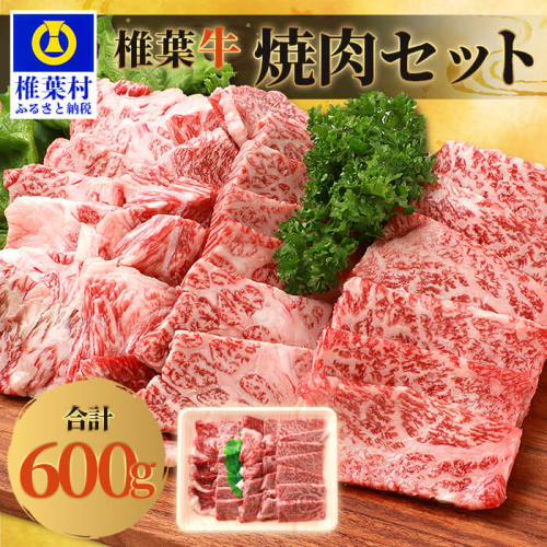 宮崎県産 椎葉牛 焼肉セット【600g】