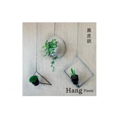 ふるさと納税 幸田町 GRAVIRoN Hang Plants シリーズ セット　 黒皮鉄(プランツハンガー)