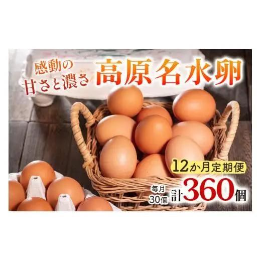 【定期便12回】高原名水 卵 30個｜豊かな自然で育ったアスタキサンチン含有の高原名水卵【感動の甘さと濃さ】栃木県 矢板市