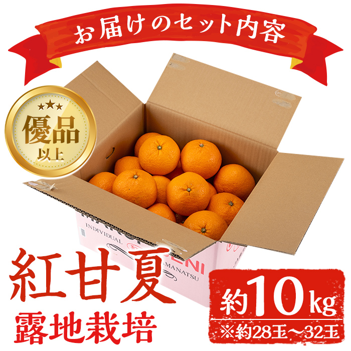 i047 ≪2025年2月中旬～5月中旬の間に発送≫紅甘夏(約10kg) みかん ミカン 蜜柑 果物 くだもの フルーツ 柑橘 10kg 国産 おやつ 旬 【JA鹿児島いずみ(果実課)】