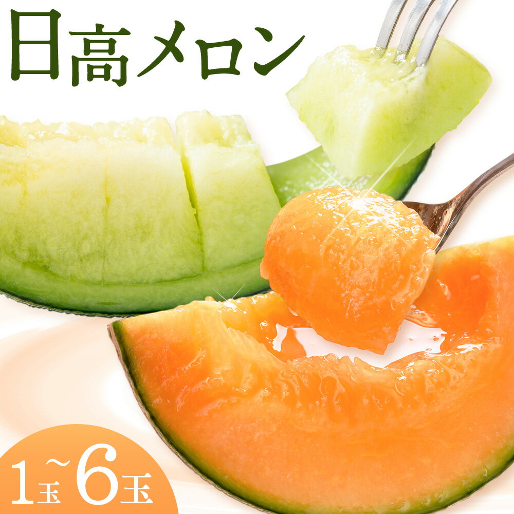 【ふるさと納税】先行予約 日高メロン 選べる 1玉 2玉 4-6玉 約8-9kg のざわ農園 2026年 7月出荷 北海道 日高町産 赤肉メロン 青肉メロン 旬 果物 フルーツ めろん デザート 産地直送 お取り寄せ グルメ 贈り物 ギフト 贈答用 プレゼント 送料無料 《7月上旬-8月中旬出荷》
