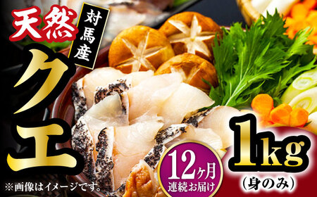 【全12回定期便】【 対馬産 】 天然 クエ 1kg（500g×2）（身のみ）《対馬市》【石川水産】 鍋 水炊き 鮮度抜群 海鮮[WAB026]