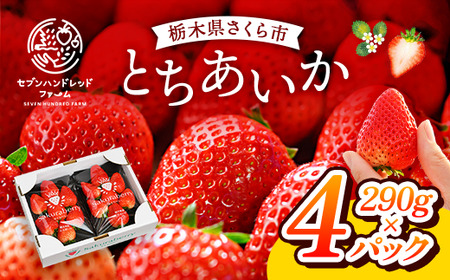いちご とちあいか 290g×4パック※2025年12月下旬～2026年3月下旬頃に順次発送予定