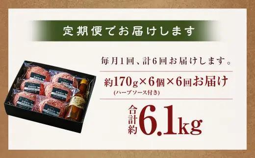 【全6回定期便】【年間1万個売れる！】A4～A5ランク 長崎和牛 ハンバーグ セット 約170g×6個 牛肉 肉 牛 和牛 国産牛 国産 長崎和牛