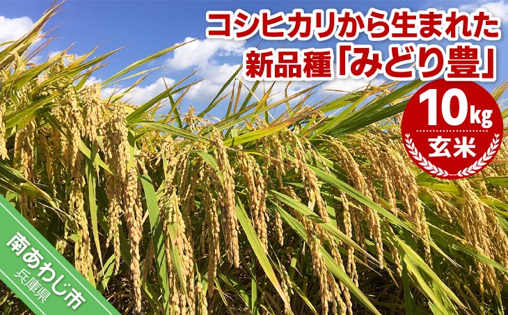 令和７年産・玄米『みどり豊』10kg　10月中旬頃から発送