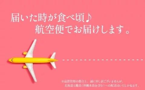 【訳あり.限定品】あまおう.小粒ですが約１２００g（先行受付．２０２５年１月以降発送）.AB380