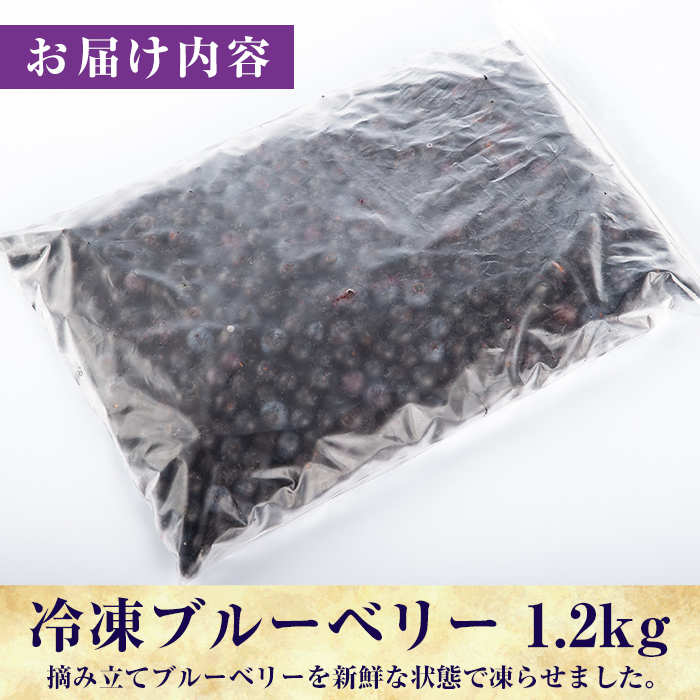 A-050 霧島市産ブルーベリー1.2kg(冷凍)【霧島農産加エグループふきのとう】霧島市 ブルーベリー 冷凍 新鮮 フルーツ