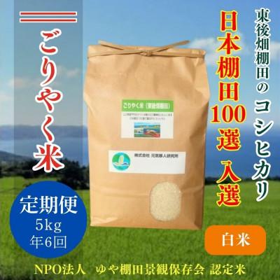 ふるさと納税 長門市 【毎月定期便】こしひかり「ごりやく米」白米5kg(1604)全6回