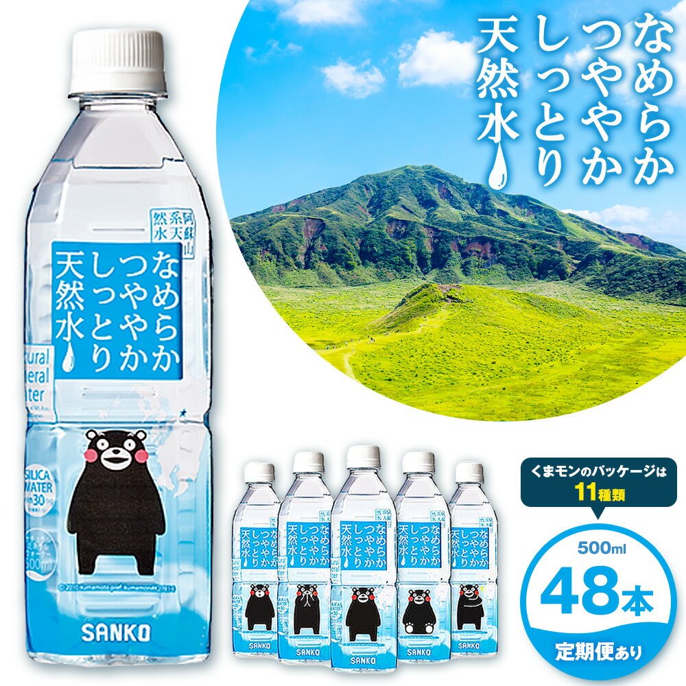 【ふるさと納税】なめらかつややかしっとり天然水 500ml 合計48本 24本×2ケース 選べる定期便 1回 3回 6回 12回 株式会社サンコー熊本営業所《30日以内に出荷予定(土日祝除く)》天然水 軟水 鉱水 シリカ水 飲料水 ミネラルウォーター ペットボトル 熊本県 菊池市 送料無料