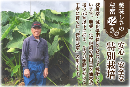 【先行予約】【12月発送分】上庄さといも 3kg 減農薬・減化学肥料の特別栽培里芋 農家直送