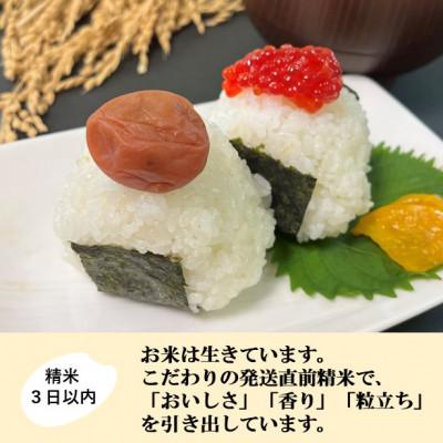 ふるさと納税 能美市 【日本農業賞大賞】令和7年産ひゃくまん穀9kg(4.5kg×2)精白米 |  | 02