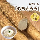 【ふるさと納税】ながいも「もちとろろ」3kg×1箱｜青森産 長芋 長いも なが芋 野菜 とろろご飯 [0631]