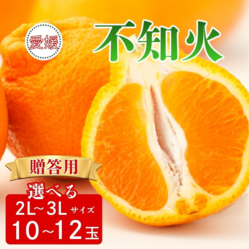 【ふるさと納税】【2027年先行予約】みかん 不知火 贈答用 【選べるサイズ】 2Lサイズ 3Lサイズ 【2027年3月中旬順次発送予定】 数量限定 愛媛みかん ミカン 蜜柑 果物 くだもの フルーツ 柑橘 かんきつ 柑橘類 おすすめ 人気 国産 伊予市 愛媛
