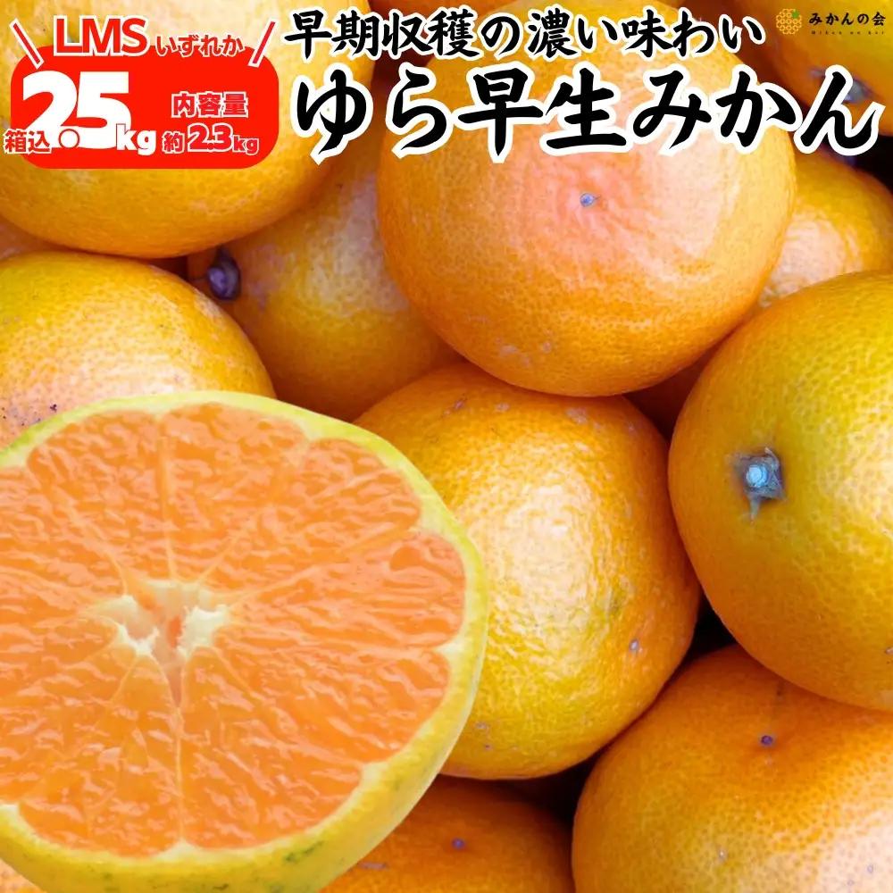 ゆら早生 みかん 箱込2.5kg (内容量2.3kg) SMLサイズのいずれか 秀品 優品 混合 有田みかん 和歌山県産 【みかんの会】［2026年10月下旬頃より順次発送予定］