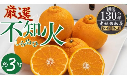 濃厚ぷりっぷりっ♪厳選「不知火(しらぬひ)」約3kg