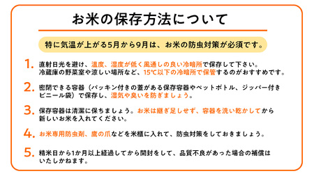 〈令和7年産〉 定期便 6ヵ月連続お届け ななつぼし 5kg 精米 北海道 共和町 お米 白米 ご飯 ライス 一粒の想い ※沖縄・離島配送不可