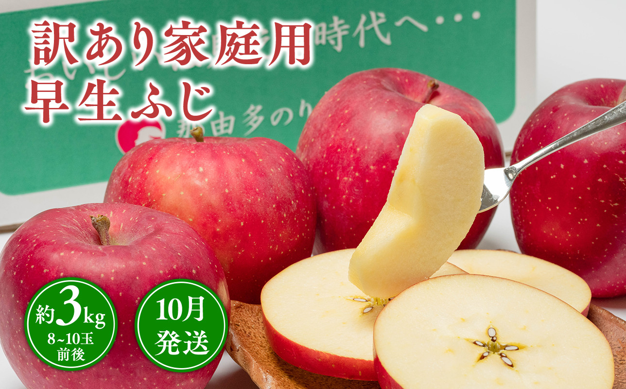 
            10月発送 【訳あり】家庭用早生ふじ 約3kg 【青森県 平川市 那由多のりんご園】家庭用 10月発送 青森 青森県産 平川 りんご リンゴ 林檎 くだもの 果物 フルーツ 
          
