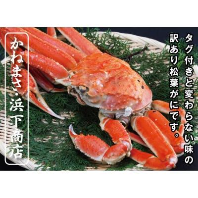 ふるさと納税 鳥取市 鳥取賀露港 訳あり浜茹で松葉がに 大 1枚(かねまさ・浜下商店) |  | 01