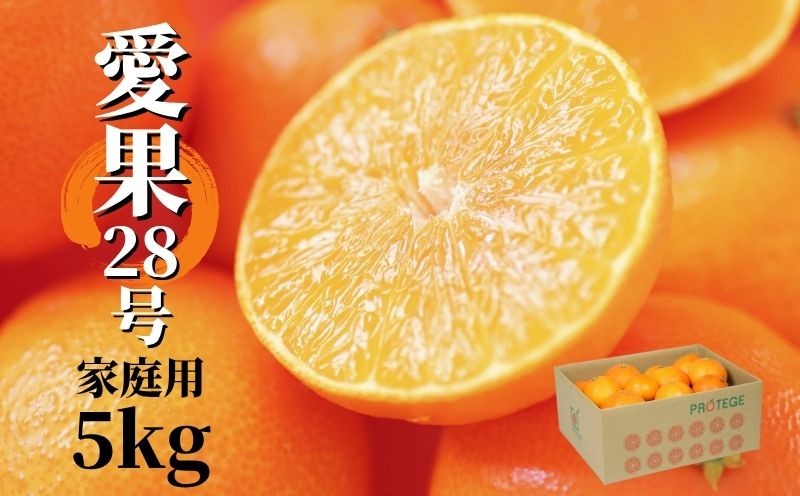 
                  【2026年12月頃から順次発送】愛果28号 (紅まどんな と同品種) 約5kg 家庭用  | 愛媛産 愛媛県産 国産 愛媛みかん 愛媛蜜柑 愛媛ミカン みかん ミカン mikan 蜜柑 柑橘 フルーツ 果物 くだもの お取り寄せ 産地直送 数量限定 人気 おすすめ 愛媛県 松山市 送料無料
                