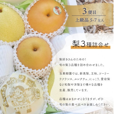 【発送月固定定期便】【きよとうファーム】岡山の桃、ぶどう、梨を産地直送!多品種を楽しむ定期便全3回【配送不可地域：離島】