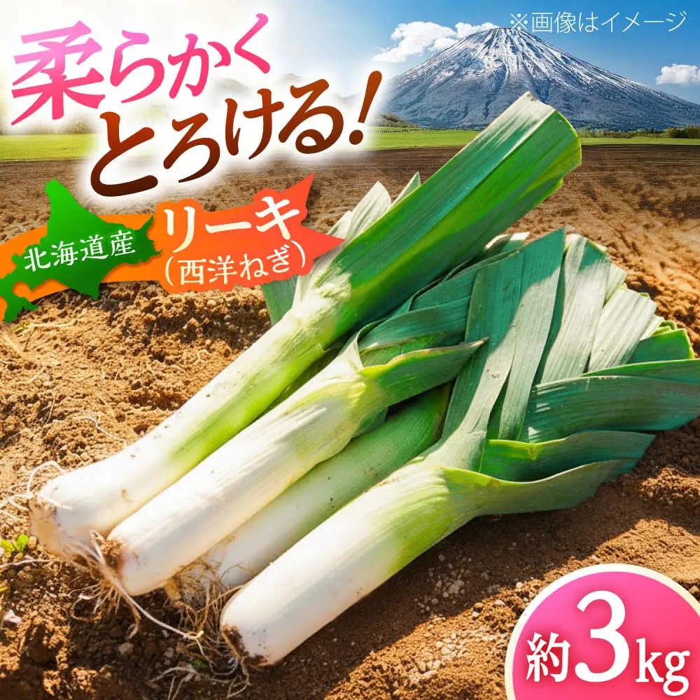 【10月中旬以降順次発送】 リーキ 3kg [BPAM045] リーキ