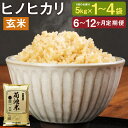 【ふるさと納税】【選べる定期便】熊本県菊池産 ヒノヒカリ 玄米 5kg/10kg/20kg 6ヶ月定期便/12ヶ月定期便 1袋5kg 選べる内容量 玄米 米 お米 九州産 熊本県産 送料無料