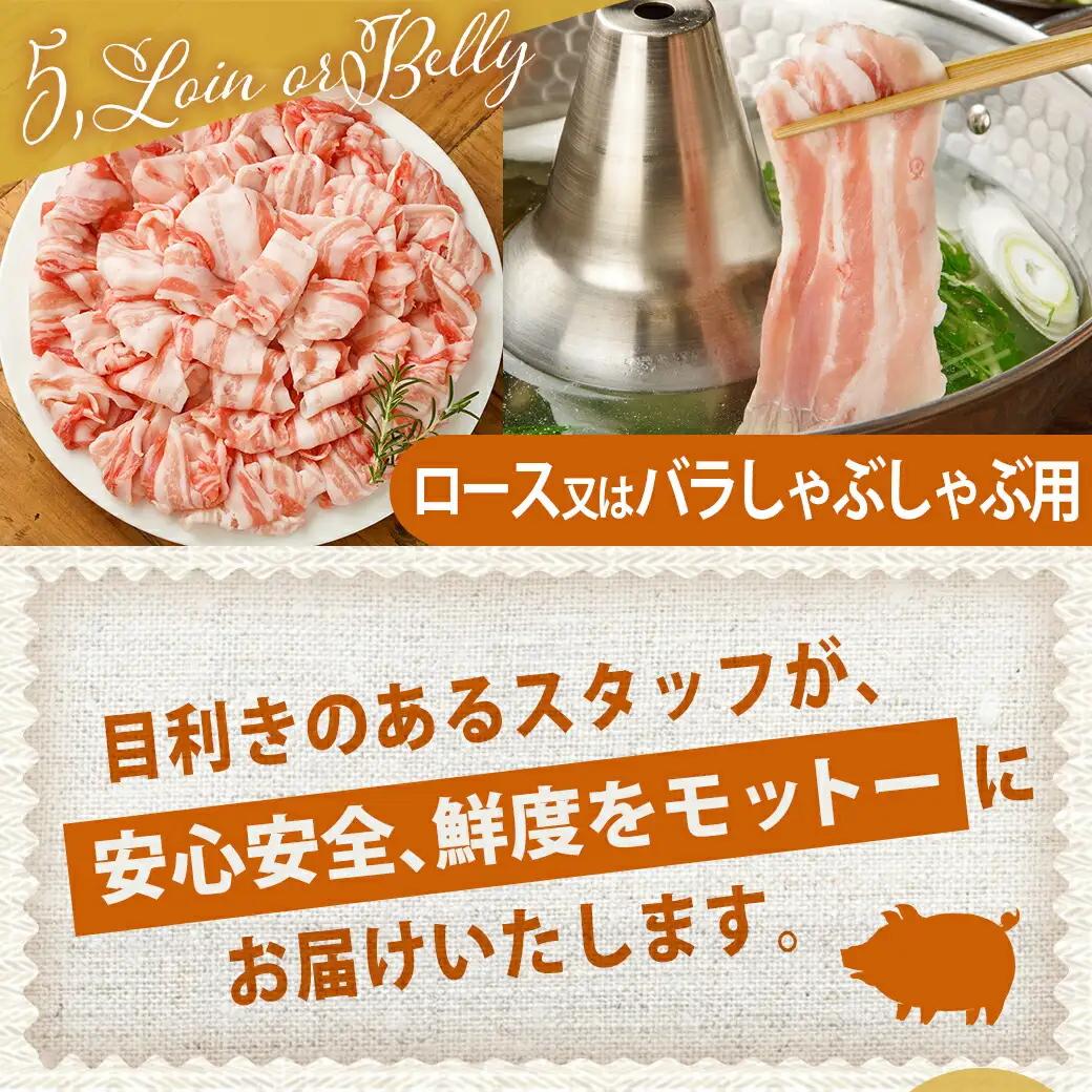 宮崎県産豚肉3.2kgセット〔16-M601〕_(都城市) 宮崎県産豚肉 3.2kgセット 切り落とし ロースカツ用 ロース又は肩ローススライス バラ焼肉用 ロース又はバラしゃぶしゃぶ用