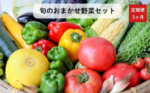 《定期便3ヶ月》旬のおまかせ野菜セット　4種類以上 3回