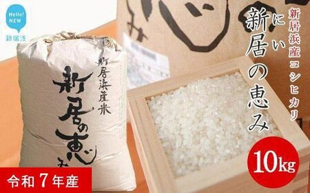 新米 白米 令和7年産 「新居の恵み（コシヒカリ）」 10kg